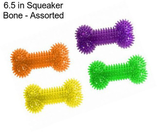 6.5 in Squeaker Bone - Assorted