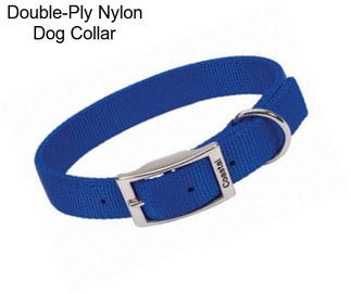 Double-Ply Nylon Dog Collar