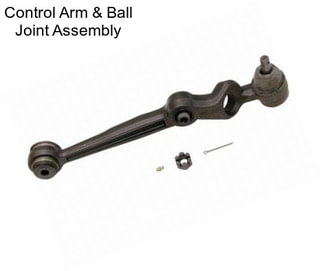 Control Arm & Ball Joint Assembly