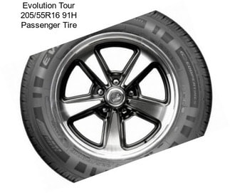 Evolution Tour 205/55R16 91H Passenger Tire