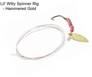 Lil\' Willy Spinner Rig - Hammered Gold