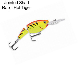 Jointed Shad Rap - Hot Tiger