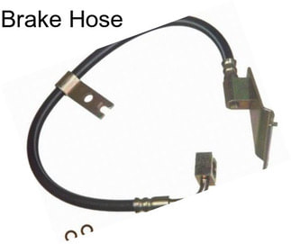 Brake Hose