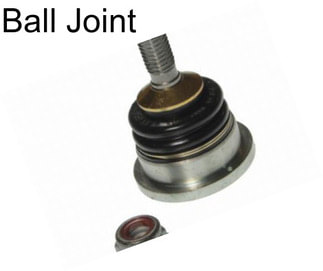 Ball Joint