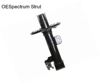 OESpectrum Strut