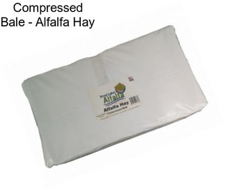 Compressed Bale - Alfalfa Hay
