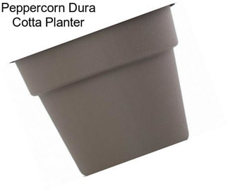 Peppercorn Dura Cotta Planter