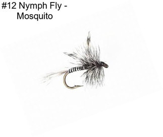 #12 Nymph Fly - Mosquito