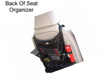 Back Of Seat Organizer