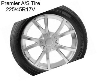 Premier A/S Tire 225/45R17V