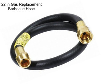 22 in Gas Replacement Barbecue Hose