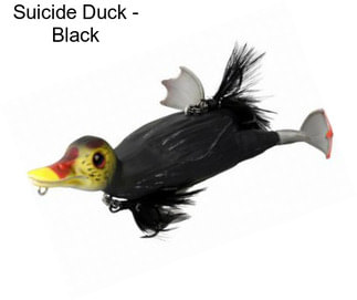 Suicide Duck - Black