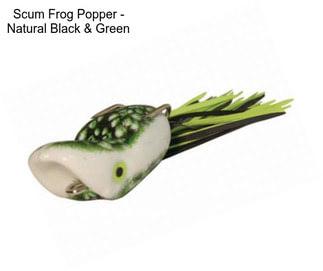 Scum Frog Popper - Natural Black & Green
