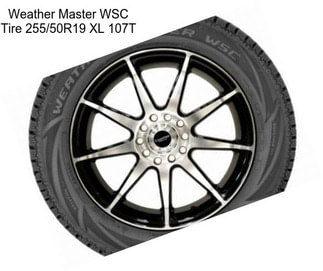 Weather Master WSC Tire 255/50R19 XL 107T