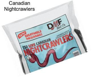 Canadian Nightcrawlers