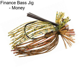 Finance Bass Jig - Money