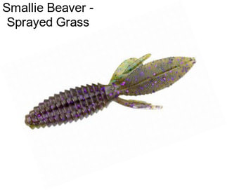 Smallie Beaver - Sprayed Grass