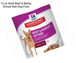 13 oz Adult Beef & Barley Entree Wet Dog Food