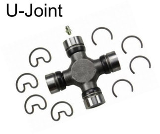 U-Joint