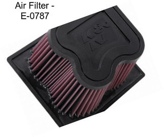 Air Filter - E-0787
