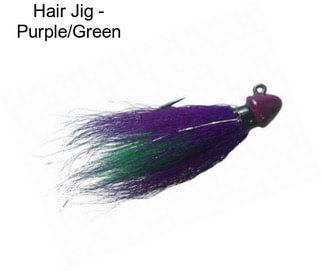 Hair Jig - Purple/Green