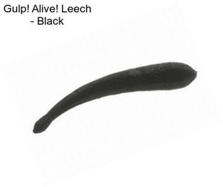 Gulp! Alive! Leech - Black