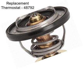 Replacement Thermostat - 48792