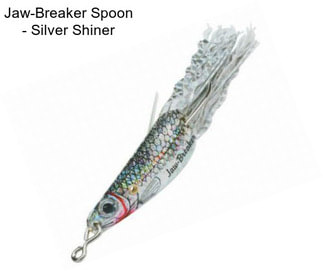 Jaw-Breaker Spoon - Silver Shiner