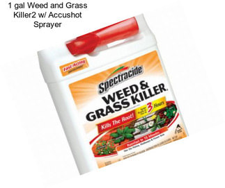 1 gal Weed and Grass Killer2 w/ Accushot Sprayer