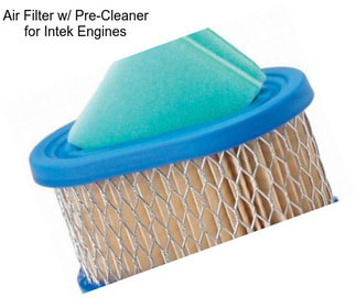 Air Filter w/ Pre-Cleaner for Intek Engines