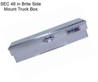 SEC 48 in Brite Side Mount Truck Box