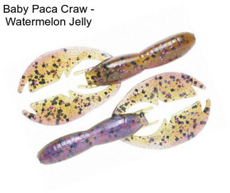 Baby Paca Craw - Watermelon Jelly