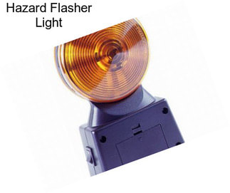 Hazard Flasher Light