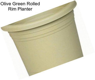 Olive Green Rolled Rim Planter