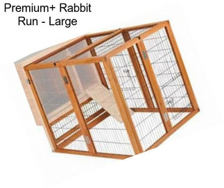 Premium+ Rabbit Run - Large