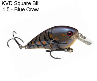 KVD Square Bill 1.5 - Blue Craw