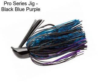 Pro Series Jig - Black Blue Purple