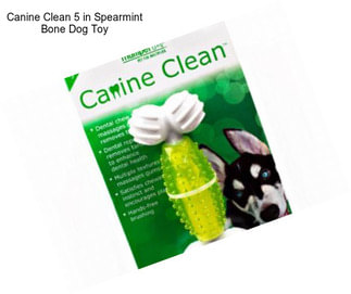 Canine Clean 5 in Spearmint Bone Dog Toy