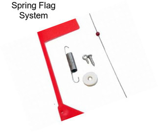 Spring Flag System