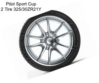 Pilot Sport Cup 2 Tire 325/30ZR21Y
