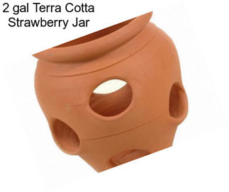 2 gal Terra Cotta Strawberry Jar