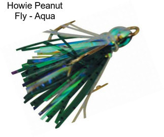 Howie Peanut Fly - Aqua