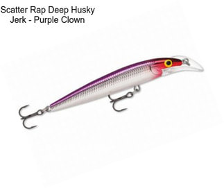 Scatter Rap Deep Husky Jerk - Purple Clown