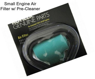 Small Engine Air Filter w/ Pre-Cleaner