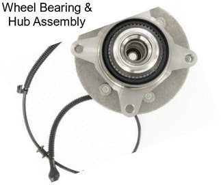 Wheel Bearing & Hub Assembly