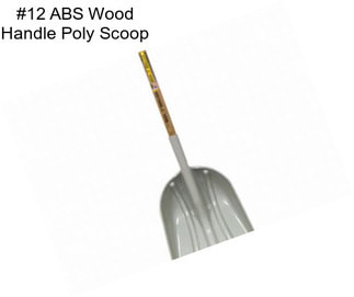 #12 ABS Wood Handle Poly Scoop