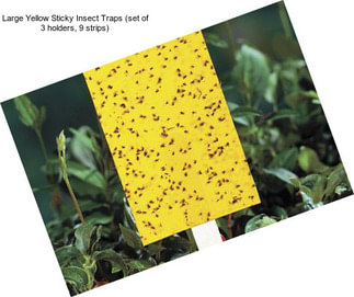 Large Yellow Sticky Insect Traps (set of 3 holders, 9 strips)