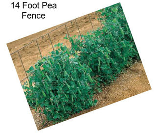 14 Foot Pea Fence