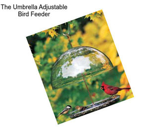 The Umbrella Adjustable Bird Feeder