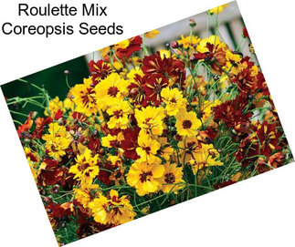 Roulette Mix Coreopsis Seeds